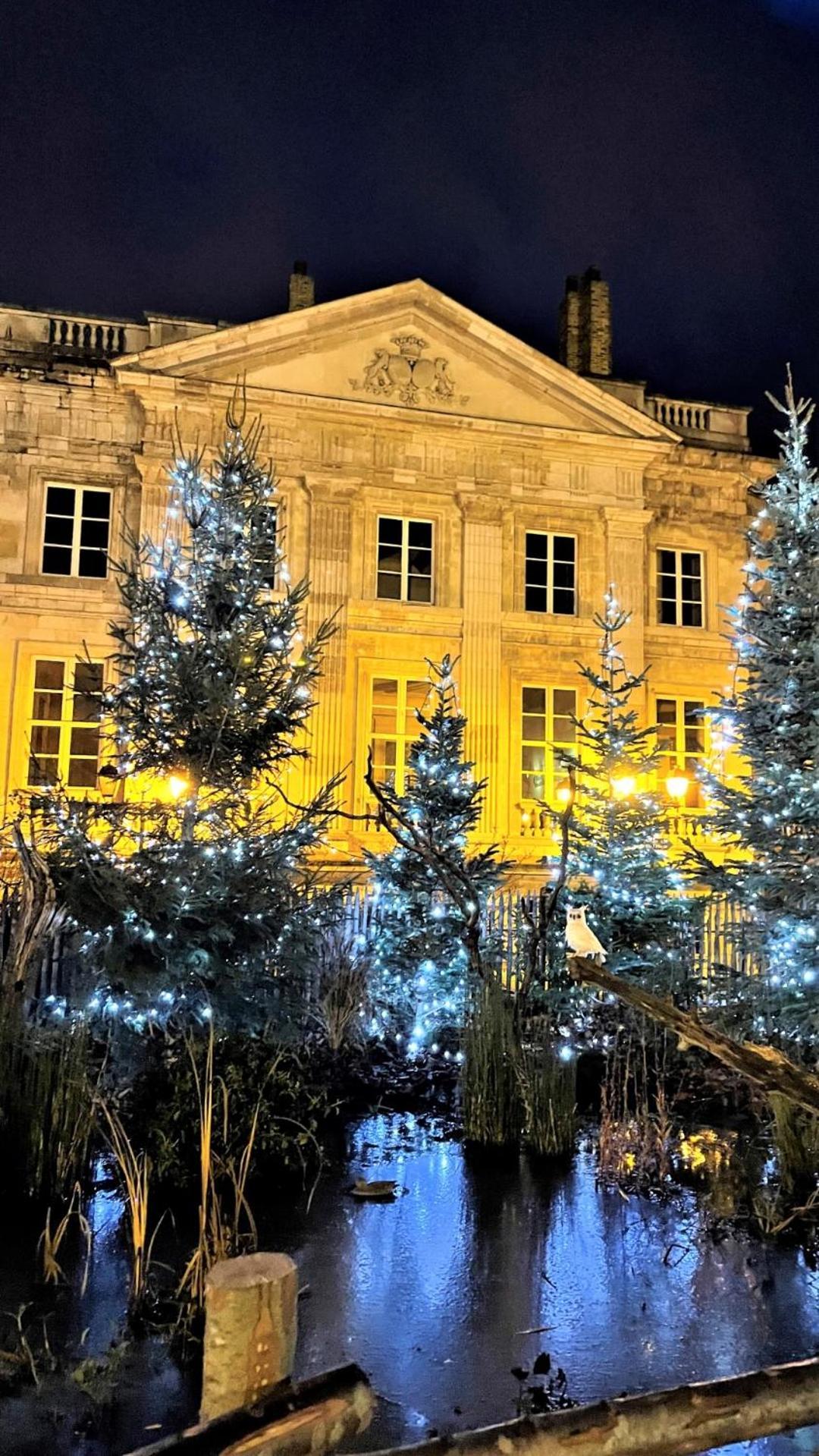 Cocon Lumineux Proche De La Ville Fortifiee Et De Nausicaa Boulogne-sur-Mer Exterior foto