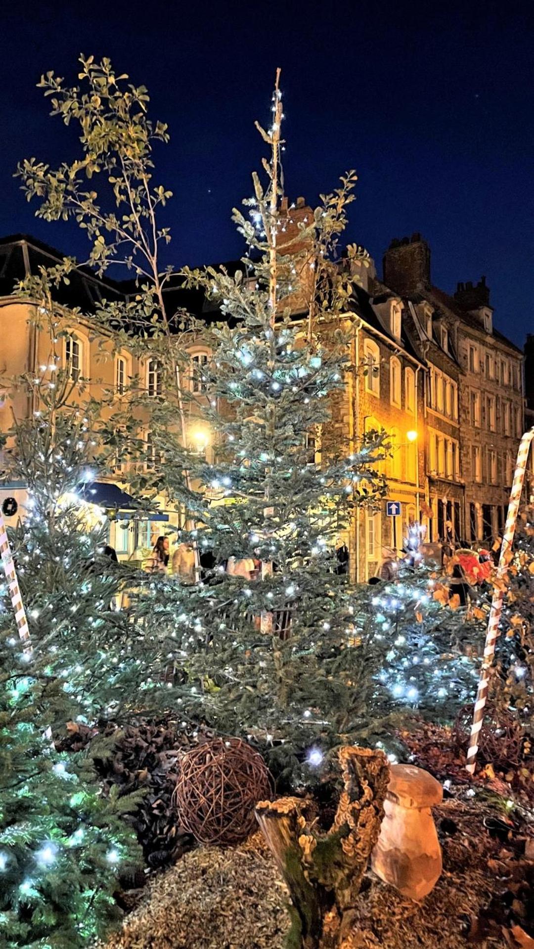 Cocon Lumineux Proche De La Ville Fortifiee Et De Nausicaa Boulogne-sur-Mer Exterior foto