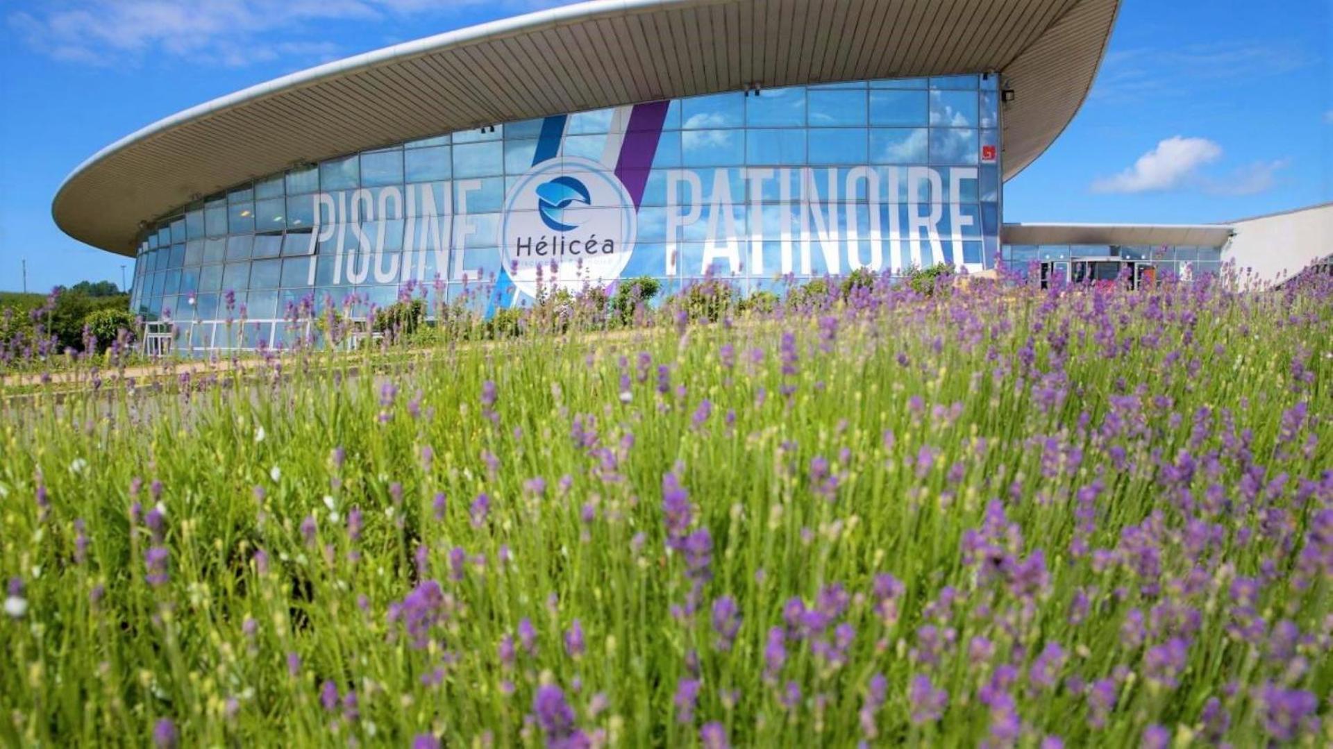 Cocon Lumineux Proche De La Ville Fortifiee Et De Nausicaa Boulogne-sur-Mer Exterior foto